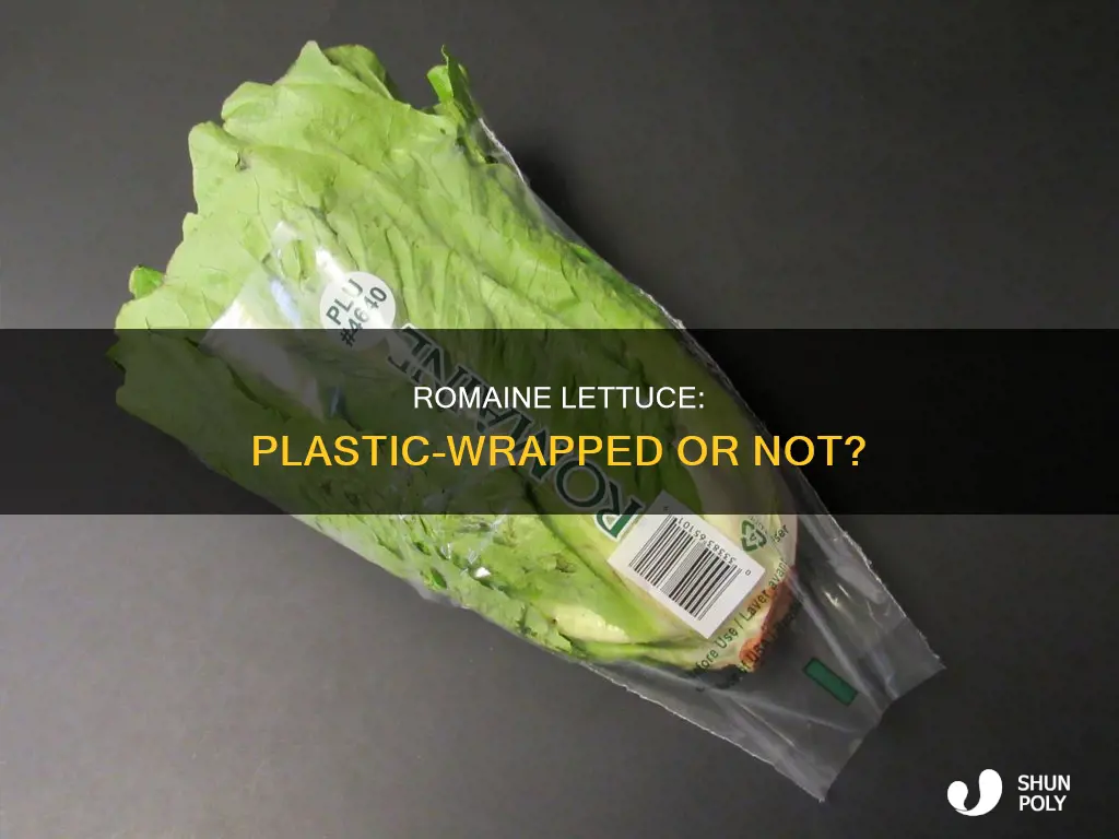 does romaine lettuce have plastic on it