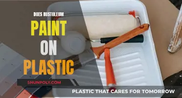 Rustoleum Paint: Plastic-Friendly or Not?