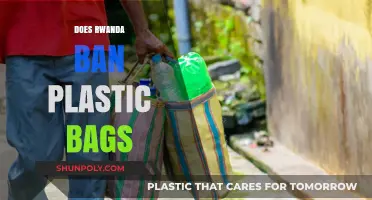 Rwanda's Plastic Bag Ban: Environmental Impact and Policy Insights