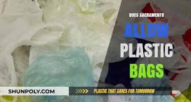 Sacramento's Plastic Bag Policy: Are Single-Use Bags Still Allowed?