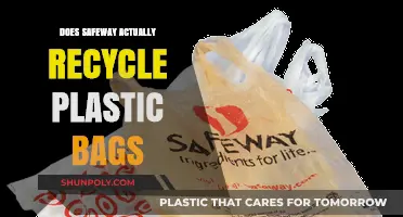 Does Safeway Recycle Plastic Bags? Uncovering the Truth Behind the Policy