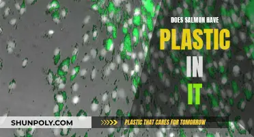Salmon's Plastic Problem: What You Need to Know