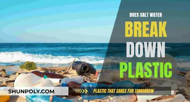 How Saltwater Impacts Plastic: Degradation and Breakdown