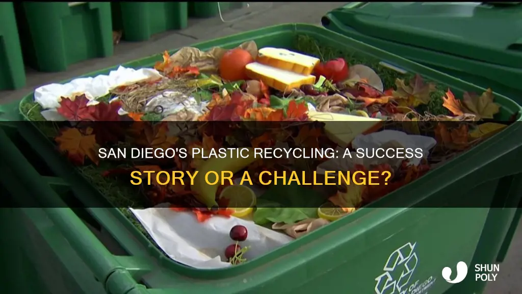 does san diego recycling numbers 4 plastic