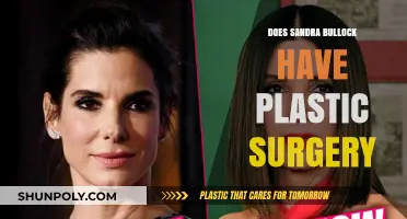 Sandra Bullock Plastic Surgery: Fact-Checking Rumors and Speculations