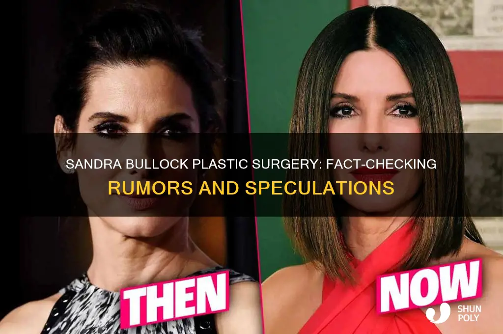 does sandra bullock have plastic surgery