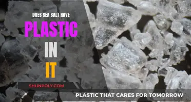 Sea Salt and Plastic: A Toxic Mix?