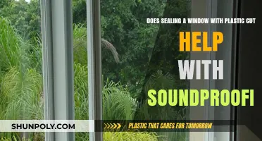 Can Sealing Windows with Plastic Reduce Noise Effectively?