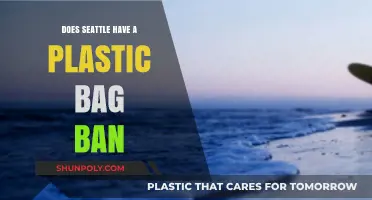 Seattle's Plastic Bag Ban: What You Need to Know