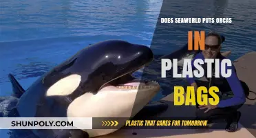 Debunking Myths: SeaWorld's Orca Care Practices Explained