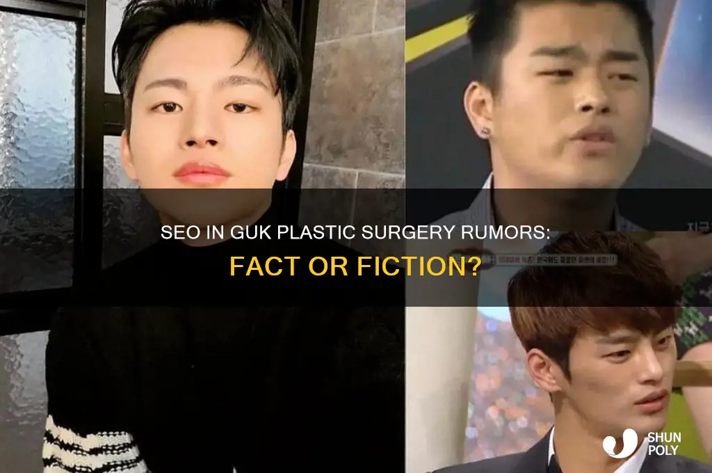 does seo in guk undergo plastic surgery