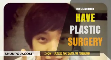 Unveiling Seventeen's Transformation: Plastic Surgery Rumors Explored