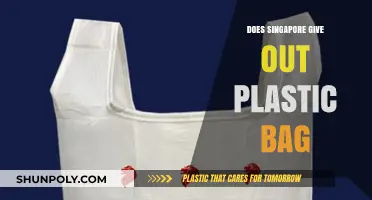Singapore's Plastic Bag Policy: Free Distribution or Sustainable Practices?