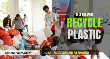 Singapore's Plastic Recycling Revolution: A Green Transformation