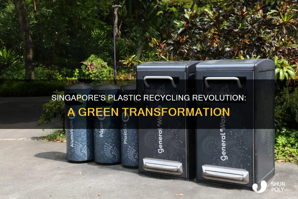 does singapore recycle plastic