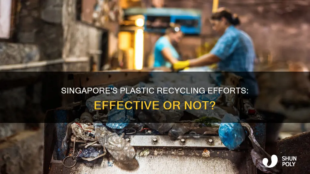 does singapore recycle plastic