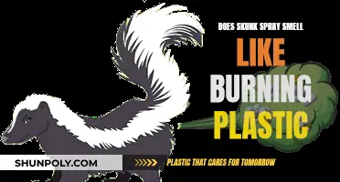 The Stench of Skunk Spray: Burning Plastic or Not?