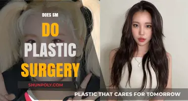 Does SM Entertainment Influence K-Pop Idols' Plastic Surgery Decisions?