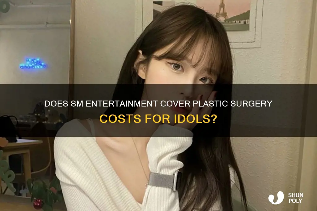 does sm entertainment pay for plastic surgery