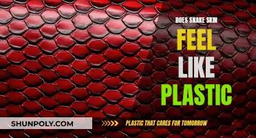 Snake Skin: Plastic or Not?