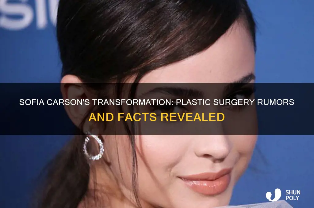 does sofia carson have plastic surgery