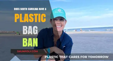 South Carolina's Plastic Bag Policy: Ban or Business as Usual?
