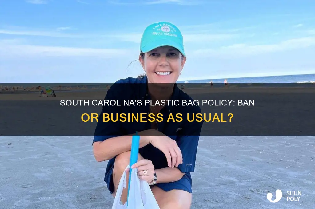 does south carolina have a plastic bag ban