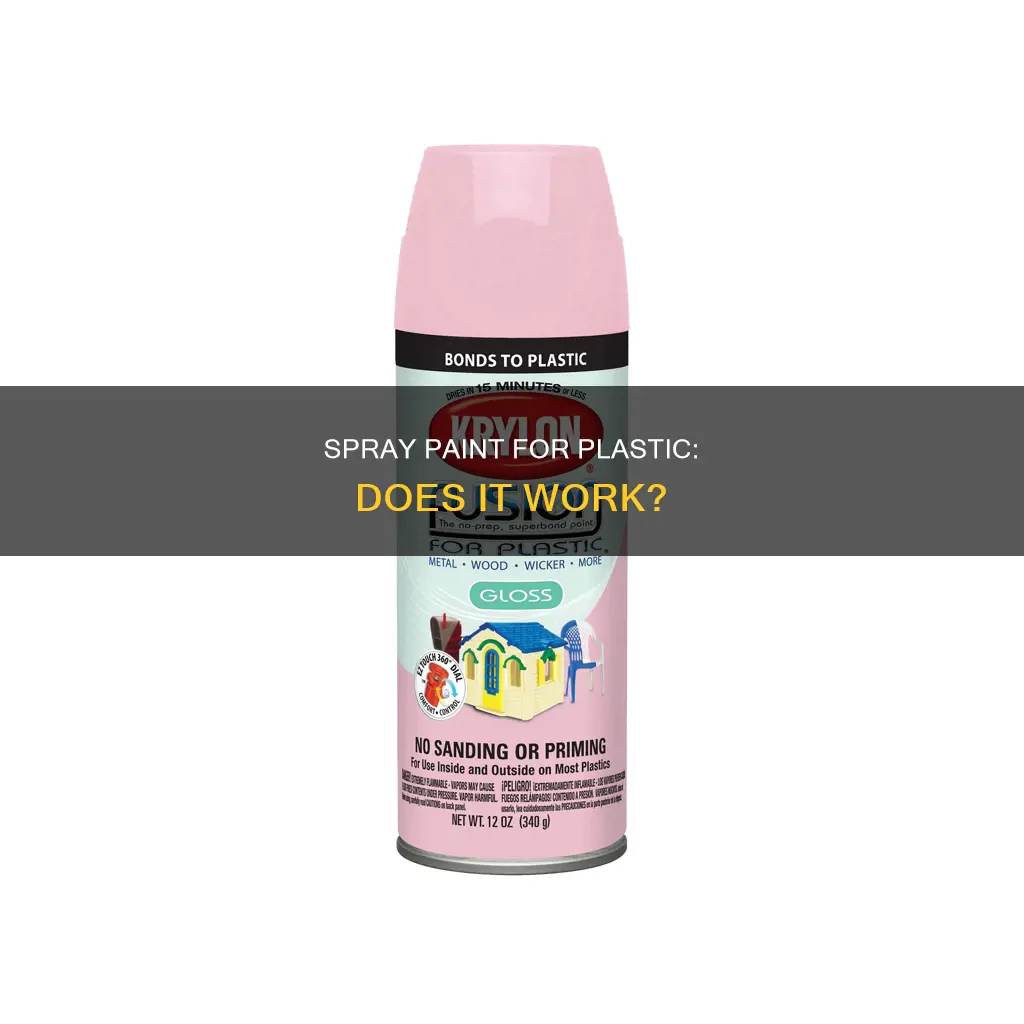 does spray paint for plastic work
