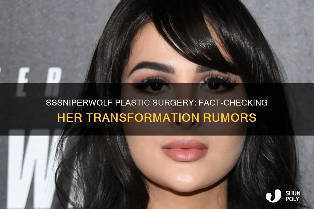 does sssniperwolf have plastic surgery