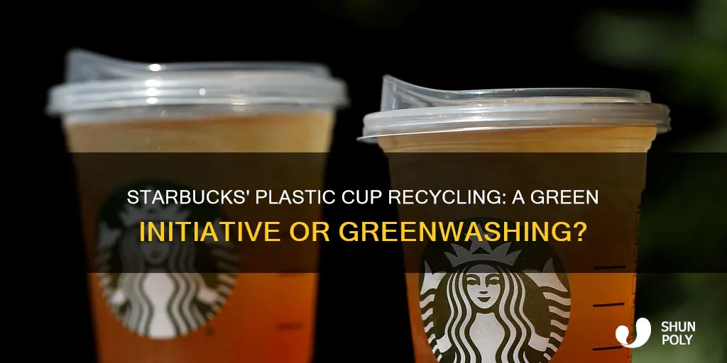 does starbucks recycle plastic cups