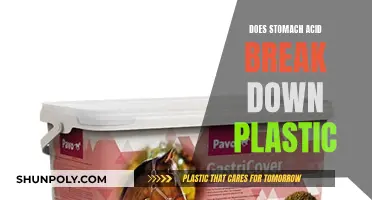 How Stomach Acid Affects Plastic Breakdown