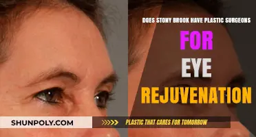 Stony Brook Plastic Surgeons: Eye Rejuvenation Options and Expertise