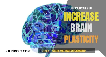 Brain Plasticity: Unlocking Potential Through Intense Study