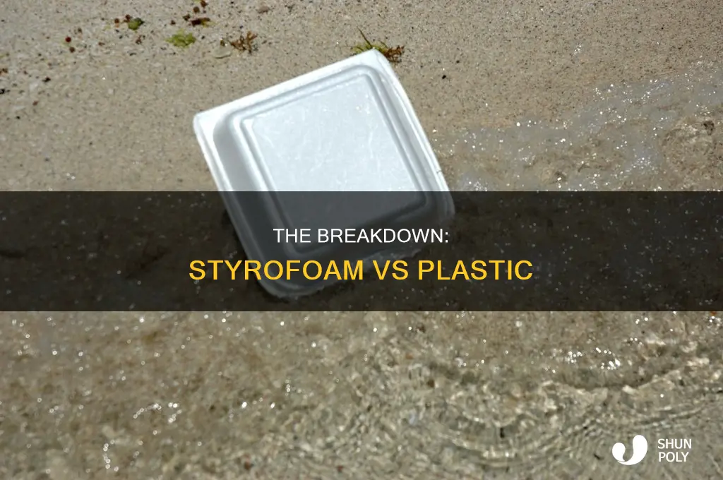 does styrofoam or plastic break down first
