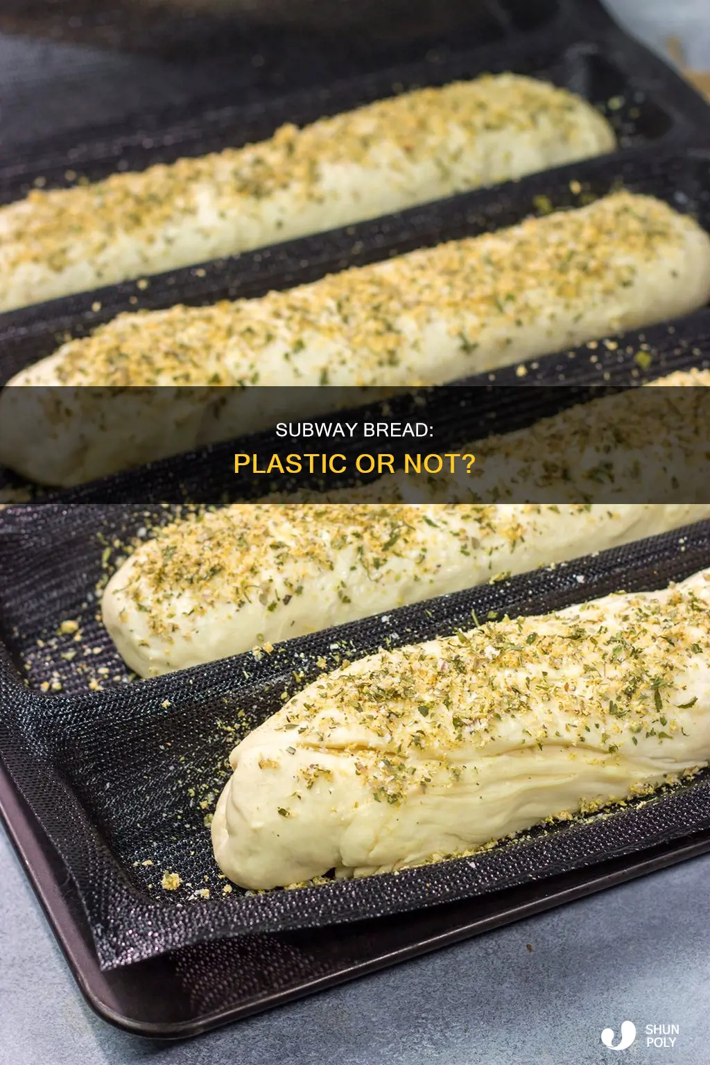 does subway bread contain plastic