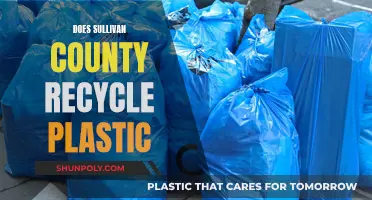 Sullivan County's Plastic Recycling: A Comprehensive Guide