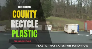 Sullivan County's Plastic Recycling: What's the Deal?