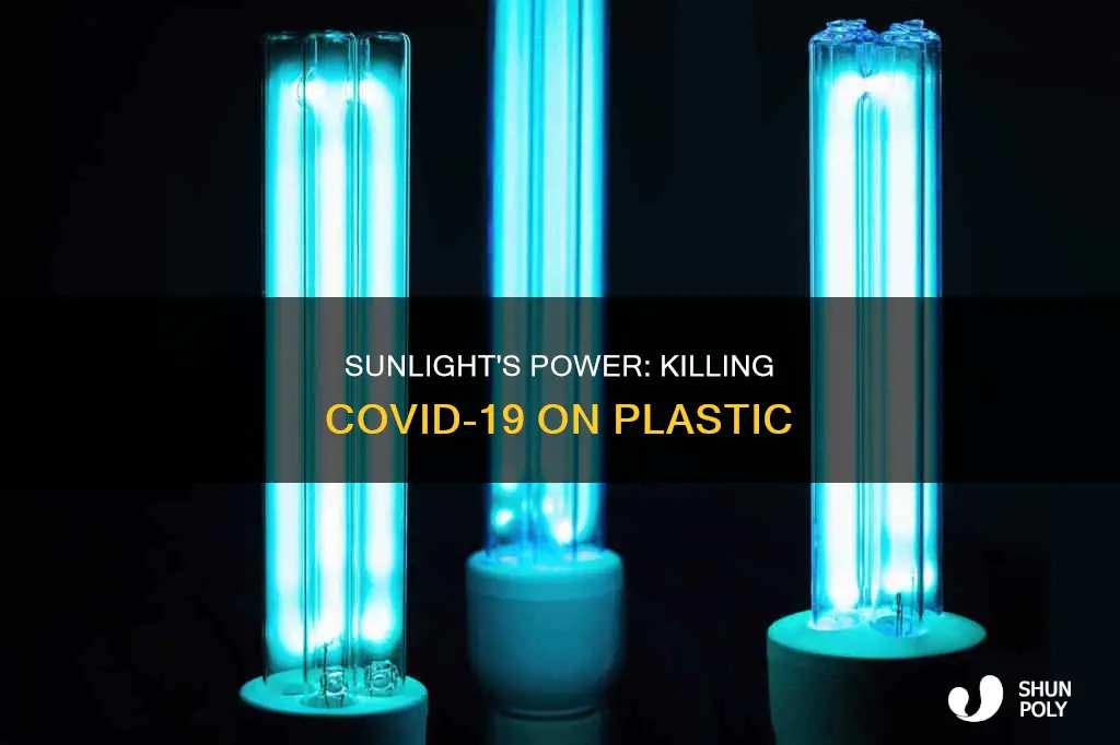 does sun kill covid 19 on plastic
