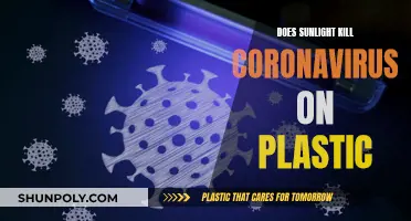 Sunlight's Power: Killing Coronavirus on Plastic