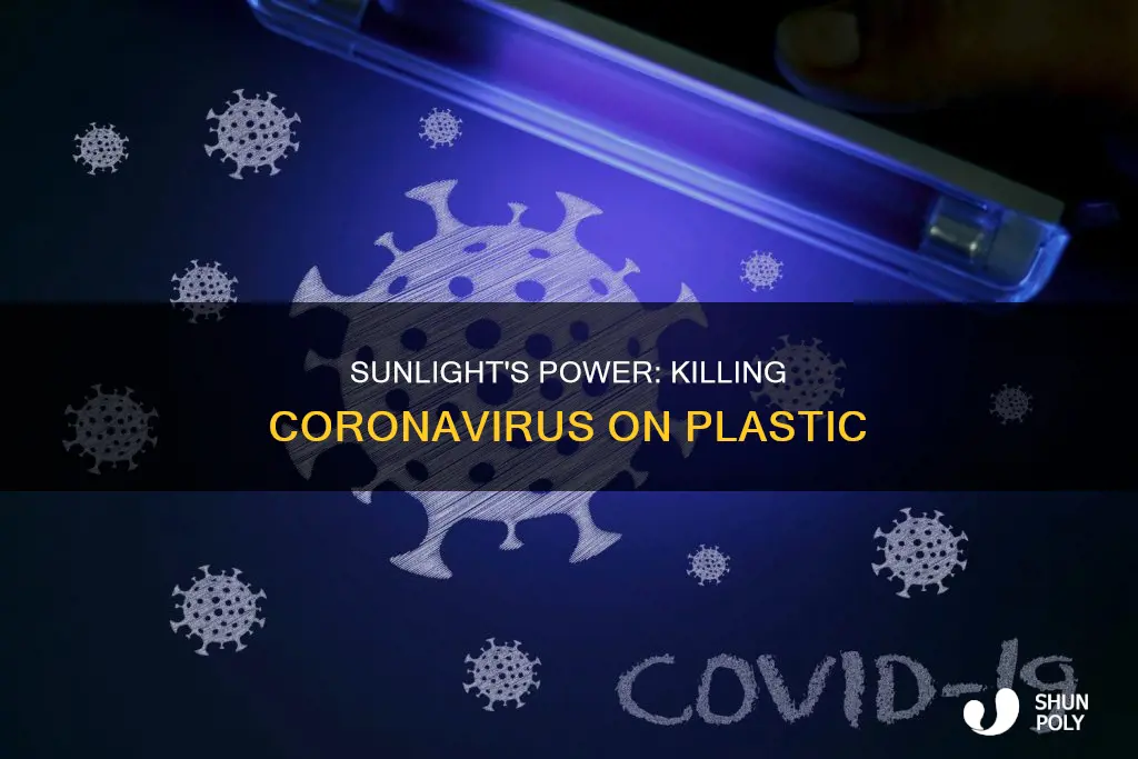 does sunlight kill coronavirus on plastic