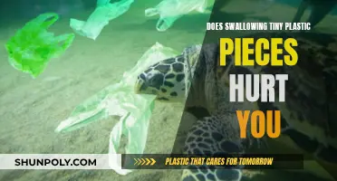 Plastic Ingestion: What Are the Health Risks?