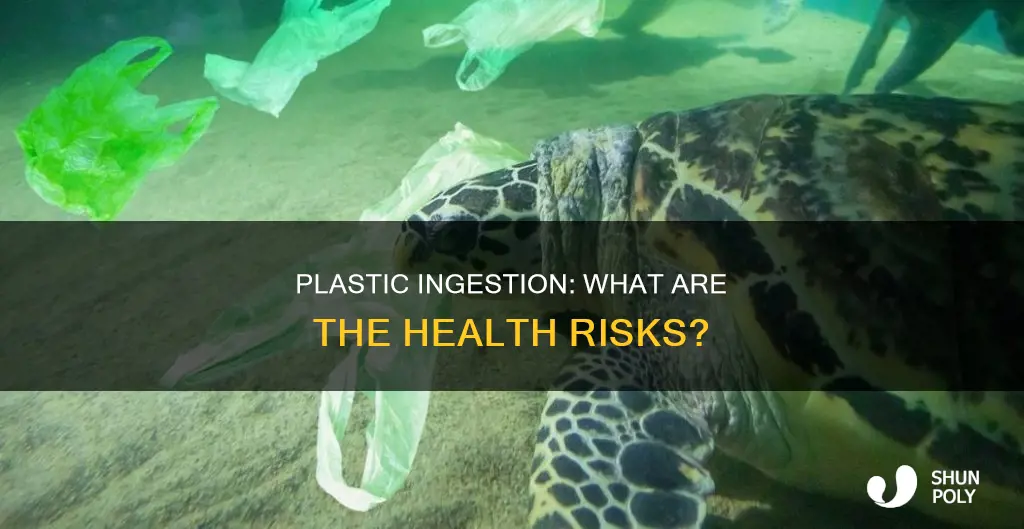 does swallowing tiny plastic pieces hurt you