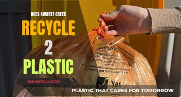 Swartz Creek's Plastic Recycling: Unveiling the Truth