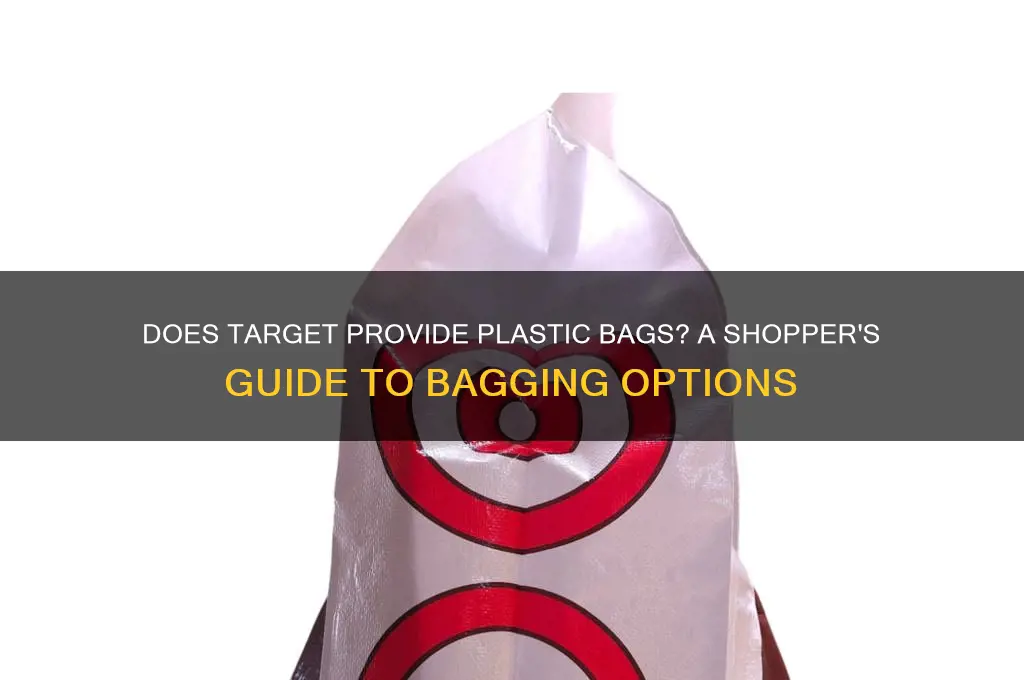does target offer plastic bags