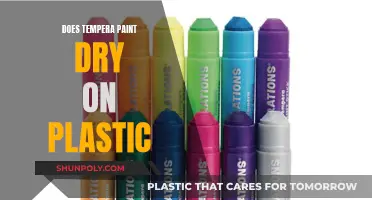 Tempera Paint on Plastic: Will It Dry?