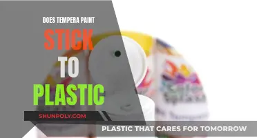 Tempera Paint Adhesion on Plastic: Is It Possible?