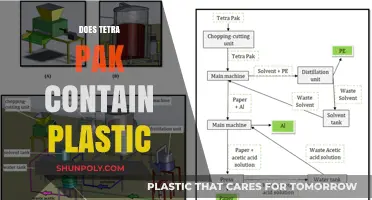 Tetra Pak Containers: Plastic or Not?