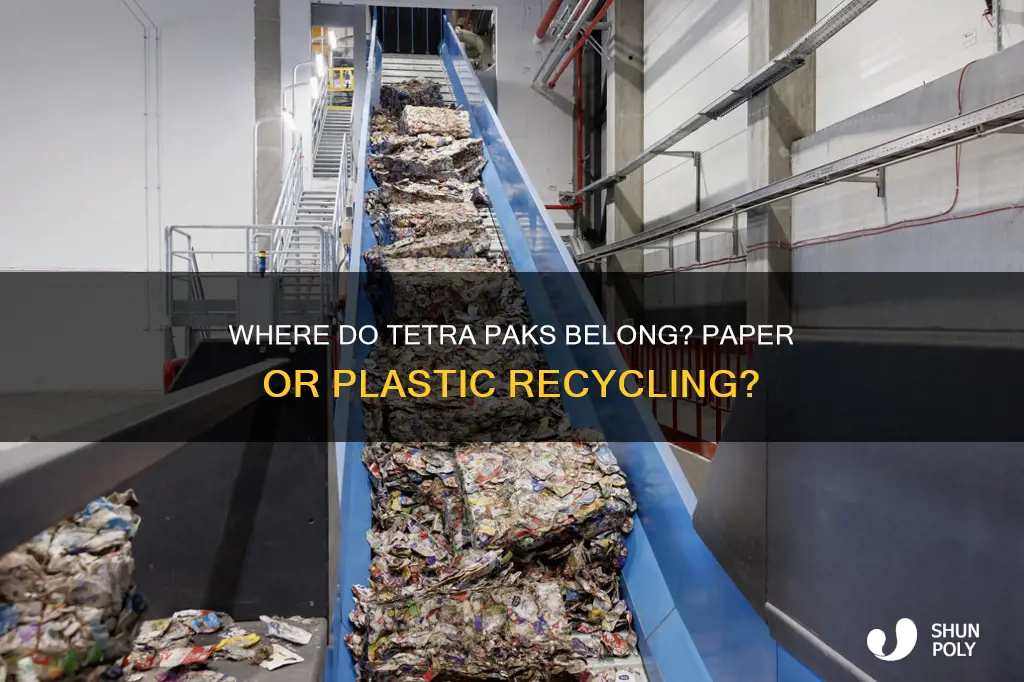 does tetra pak go in paper or plastic recycling