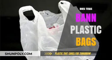 Texas Plastic Bag Ban: Current Policies and Environmental Impact Explained