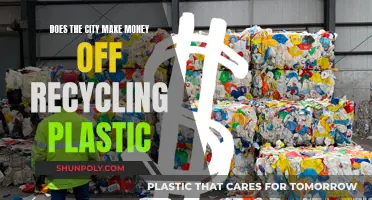 The City's Profitable Plastic Recycling Business: A Green Venture